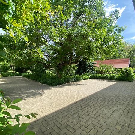 Racz Birtok Lajosmizse Apartman Kültér fotó
