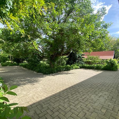 Racz Birtok Lajosmizse Apartman Kültér fotó