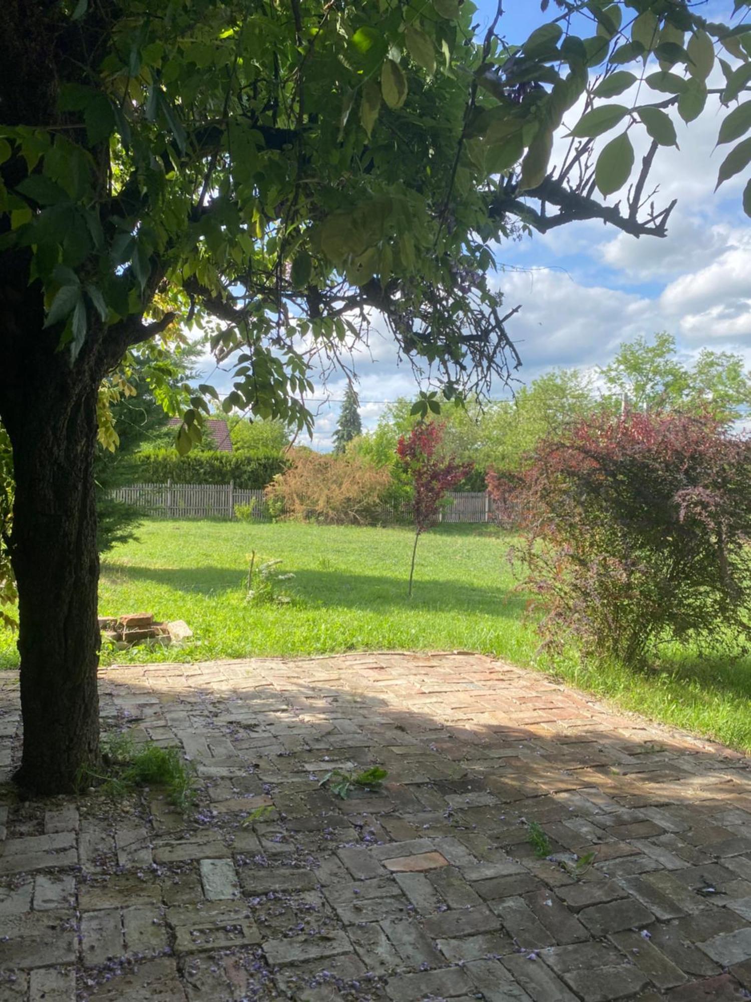 Racz Birtok Lajosmizse Apartman Kültér fotó