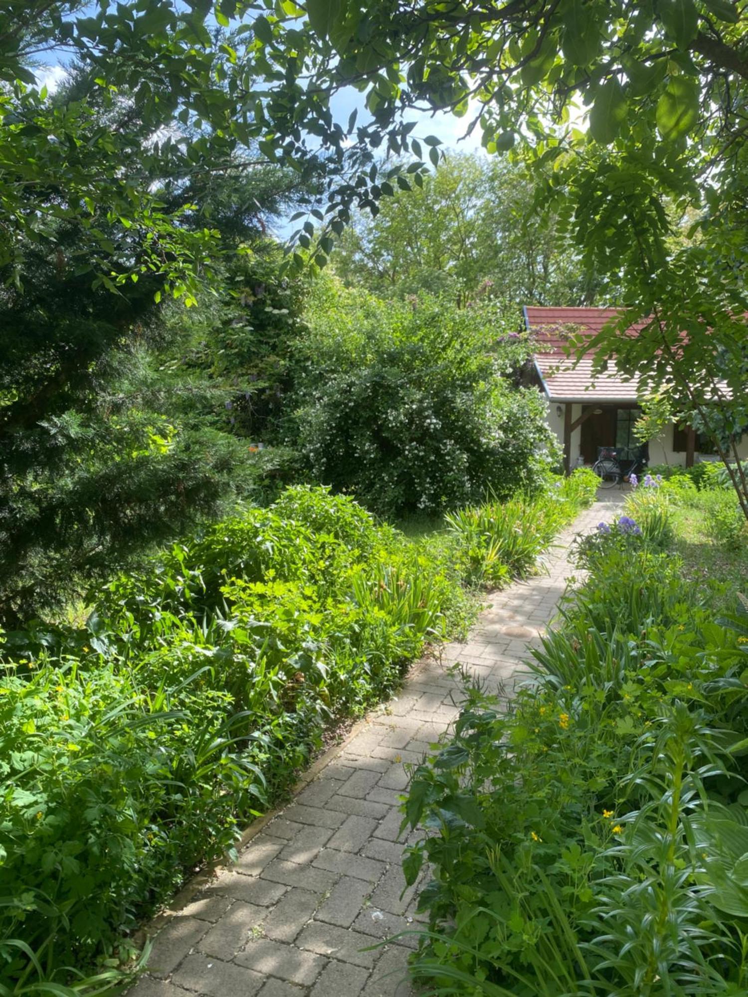 Racz Birtok Lajosmizse Apartman Kültér fotó